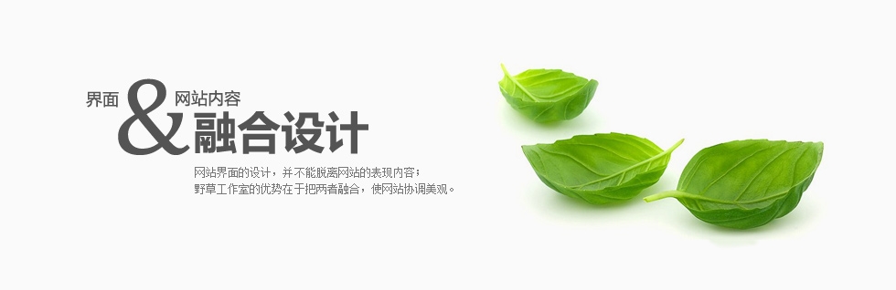 科e互联网页特效