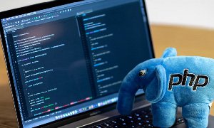 探索网站开发的最佳选择 - PHP还是.NET？