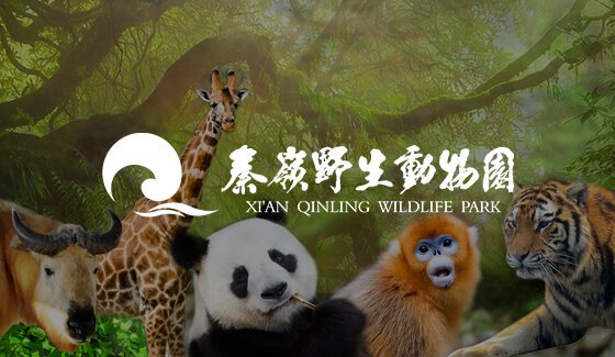 旅游景点动物园网站建设