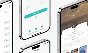 河北网站建设:平面设计 “点线面” 元素的应用解析