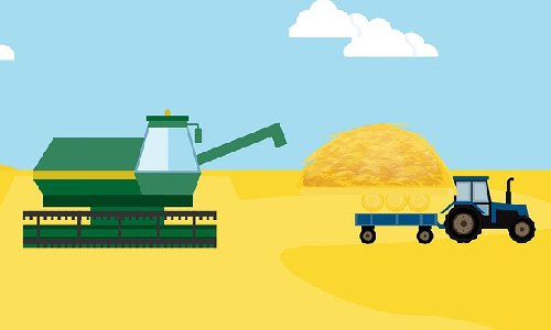 广西网站建设公司为粮食公司服务的核心注意事项