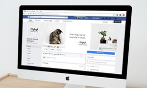 宁夏网站建设:定制化方案赋能饲料公司,打通数字化发展新通道