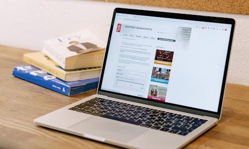 沈阳企业网站建设域名与服务器的实用选择思路