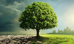 生态农业网站建设-生态农业网站制作设计提升品牌知名度