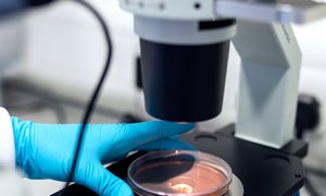 医疗器械网站建设-医疗器械网站定制开发推动品牌传播