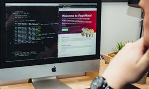 商务网站建设-助力商业推广与宣传