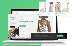 商城网站建设-多种商业模式定制开发