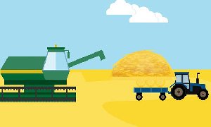 农业网站建设-有效推动农业互联网推广