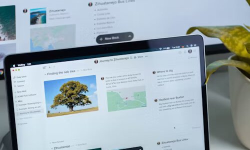 公司网站如何改版？四招减少对网站的影响