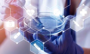 医疗网站设计实施方案详解