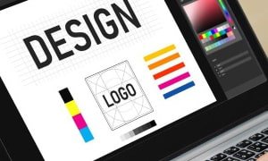 网站设计中的色彩种类分析