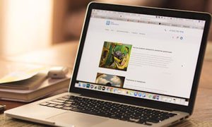 旅游网站制作视角下旅游业电子商务的优势