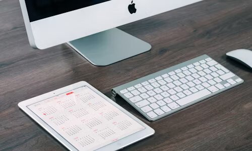 档案网站建设的服务功能解析