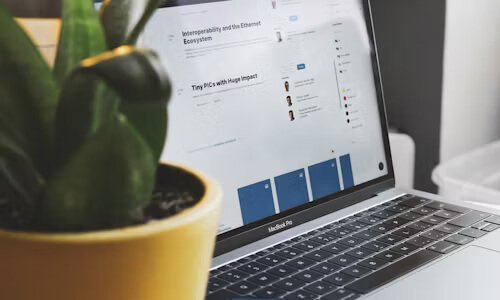 农业电子商务网站建设的关键要点与推进策略