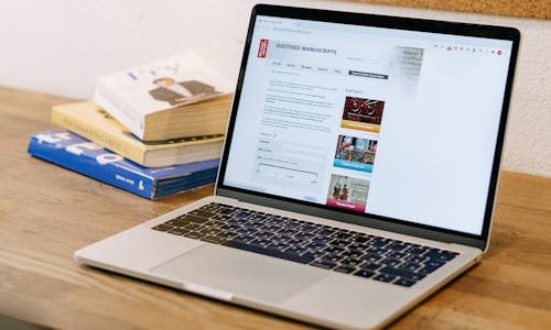 每天网站更新对网站建设的重要性