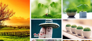 <b>CSS3瀑布流动画网页特效制作</b>