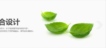 带左右箭头及自动轮播超炫焦点图